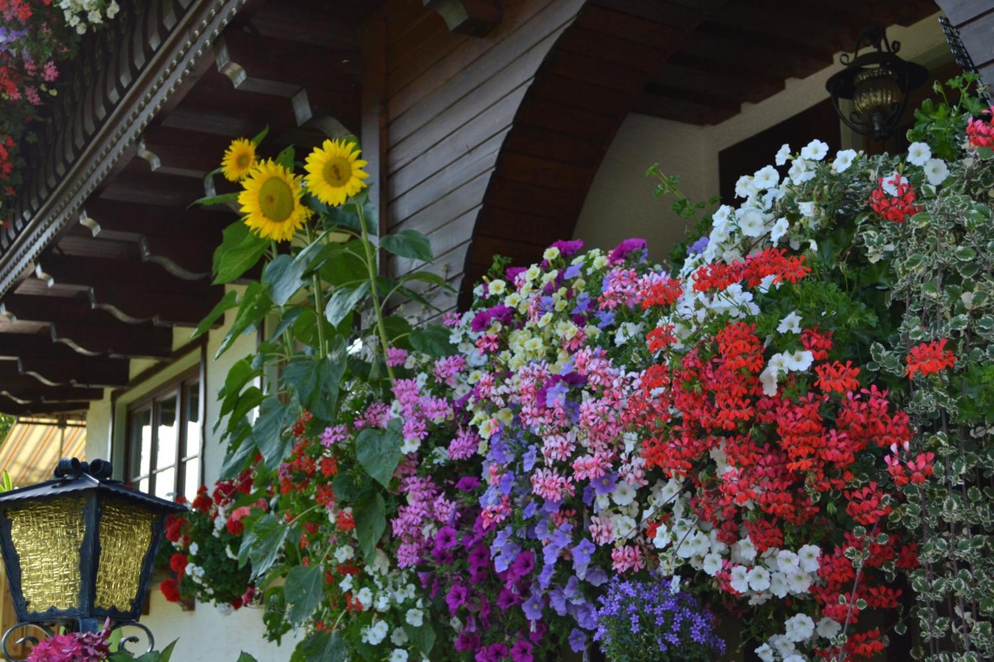 Haus Thurner Wagrain Dış mekan fotoğraf